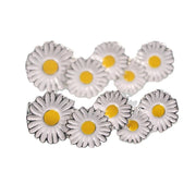 FnLune Cherry Blossoms Shoelace Buckle Metal Shoelaces AF1 Shoelaces Buckle Accessories - FnLune